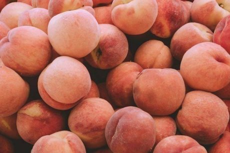 avlan best pornstar pics