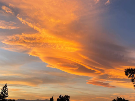 Pedro Martinez perfect star pics