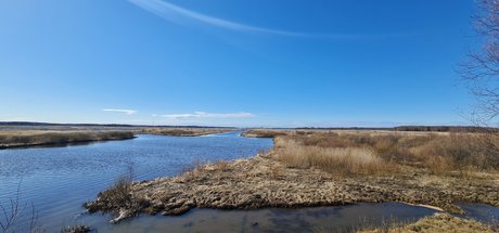 Pauppis xxx model archive