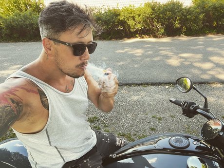 Paul D top pornstar gallery