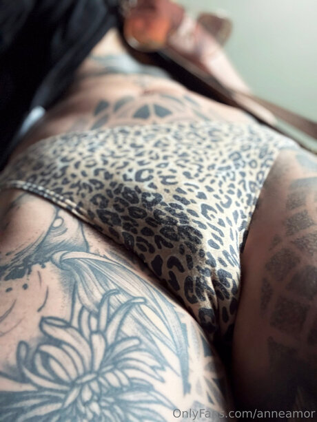 anneamor art star photos