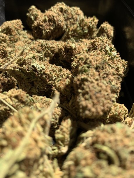 DaddyWood model nudes picture