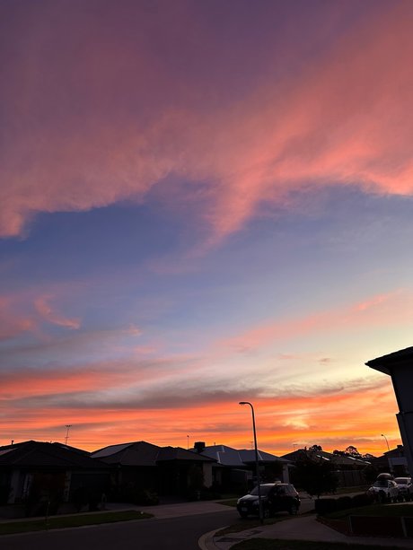 Fip star nudes image