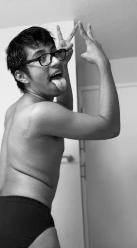 Piggy Pup star best galleries