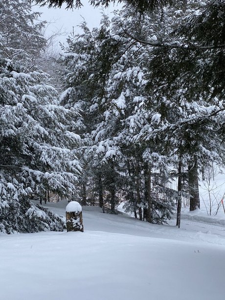 Peterovich free actress archive