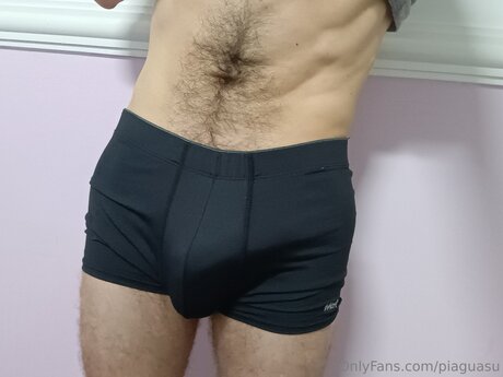 Pi Guasu model best archive