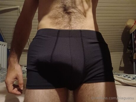 Pi Guasu model high quality archive