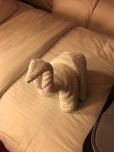 Phonyheart pretty pornstar picture