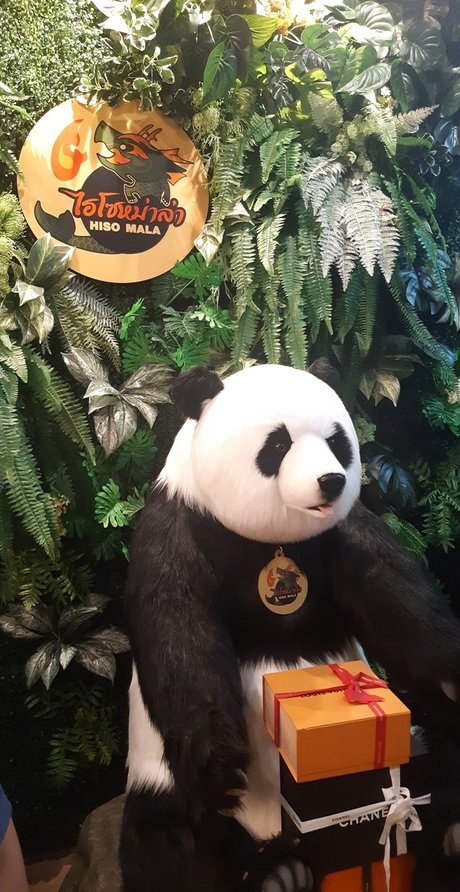 Chiba model pretty galleries