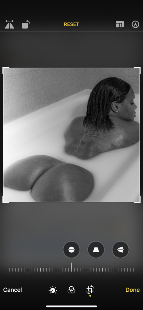 Phoenix Rosez star porn pictures