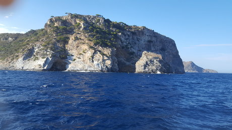 Philou Link art actress images