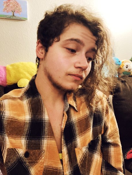 Plum free actress picture