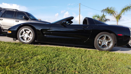 Jay W exclusive model archive