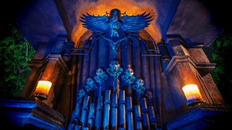 DarkPrince57 pornstar pretty gallery