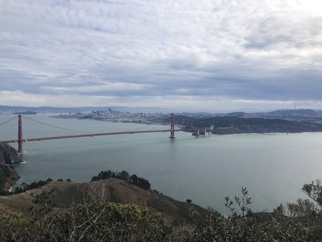 PlantDaddy SF high quality model pictures