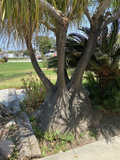 JDwilling erotic actress images