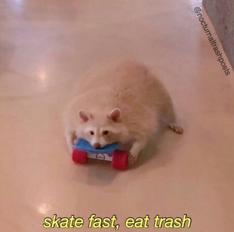 Pirate pornstar exclusive pic