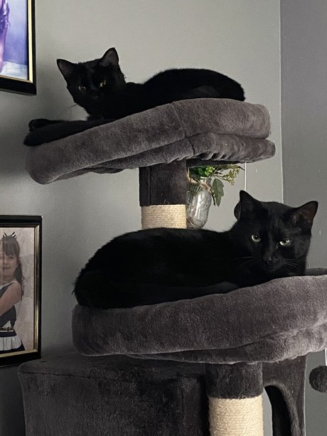 Amber Amos perfect actress pic