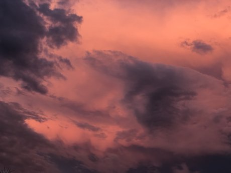 chels pornographic star photos