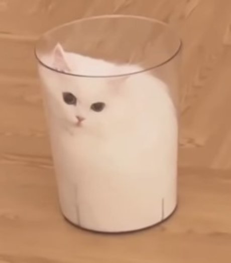 Claire CS best star pics