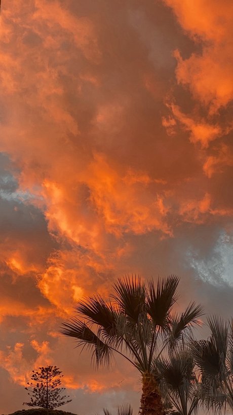 Daniele Patern_ perfect model pics