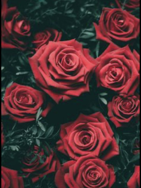 Monae Leigh star xxx pictures