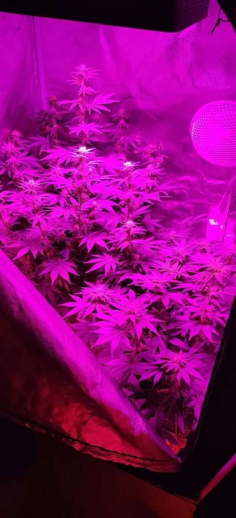 Post K pornstar best pics