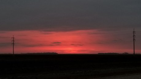 Willow The Bull star adult pics