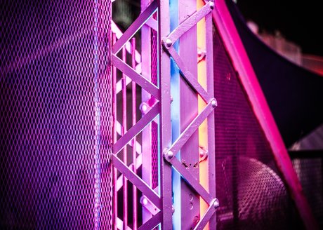 Polar Bear sexy actress pic