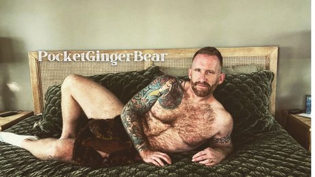PocketGingerBear pornstar art galleries
