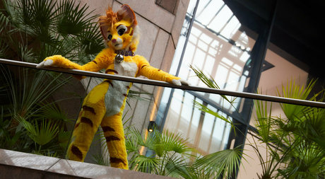 thatyellowkitty best pornstar photos