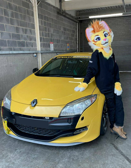 thatyellowkitty adult actress gallery