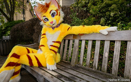 thatyellowkitty nudes star photos