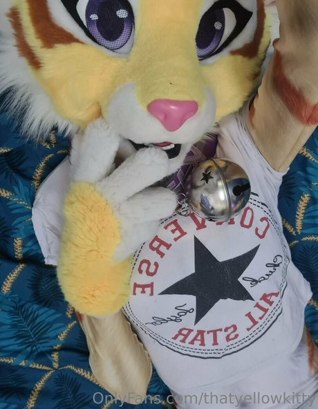 thatyellowkitty pretty star photos