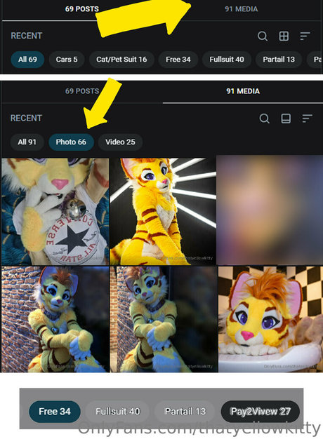 thatyellowkitty star best pictures