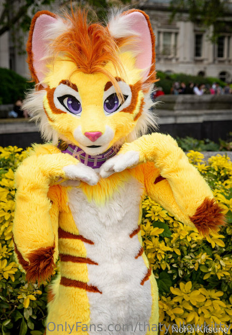 thatyellowkitty erotic pornstar photo