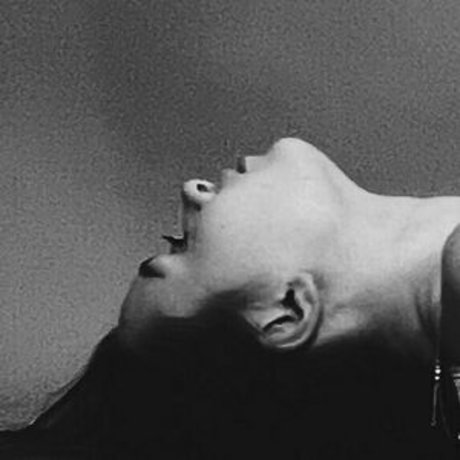 bellanorthvip adult actress photos