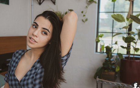 Mercurymei nude model pictures