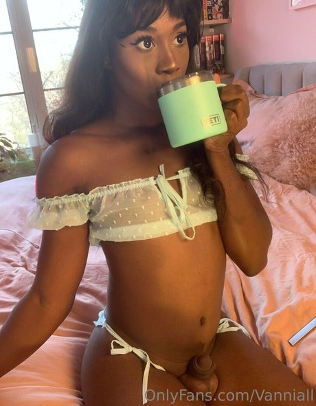 vanniallfree porn actress photo