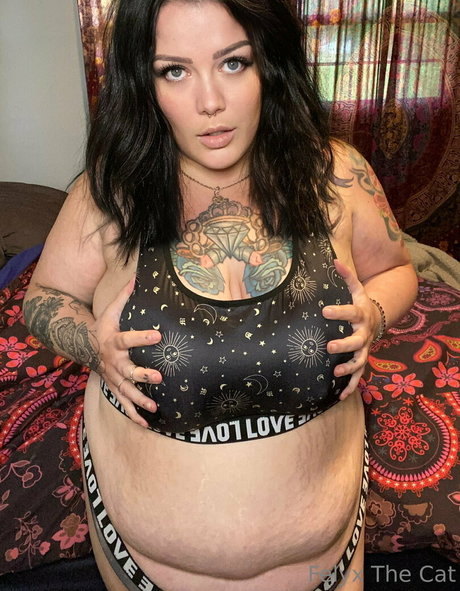 felyxfree pornstar art galleries