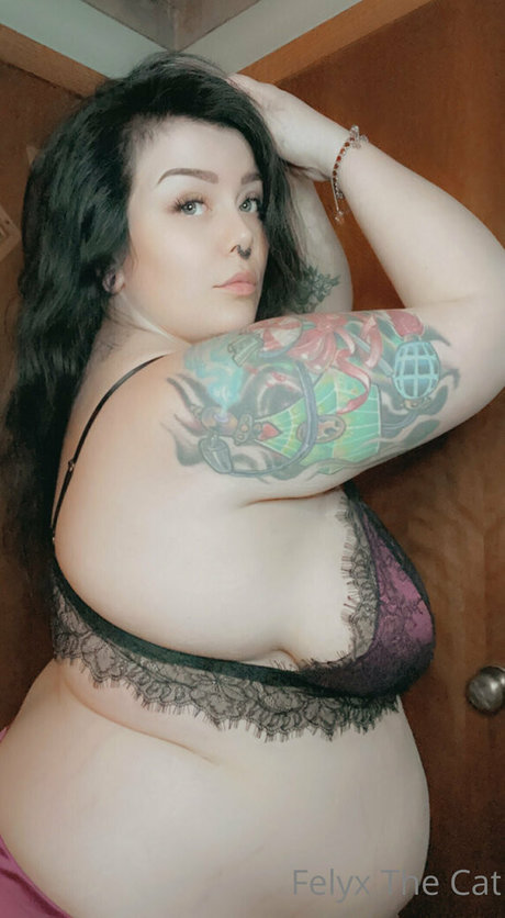 felyxfree top pornstar gallery