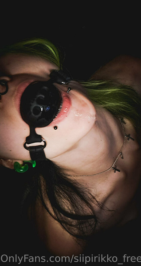 siipirikko free star art picture