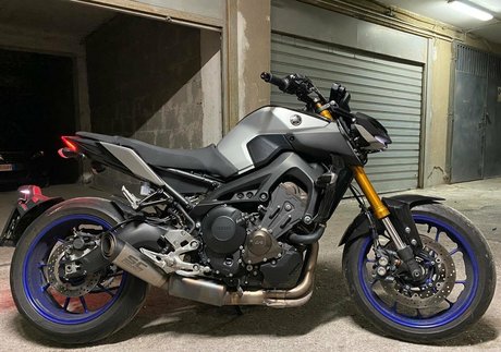 merylsamafree model high quality img