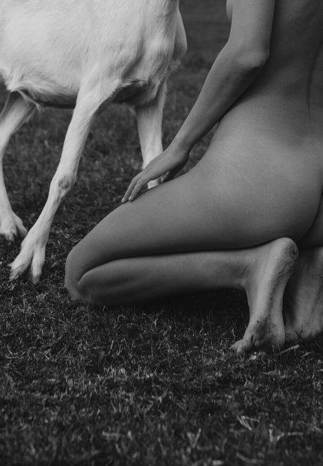 Julia Slip free pornstar gallery