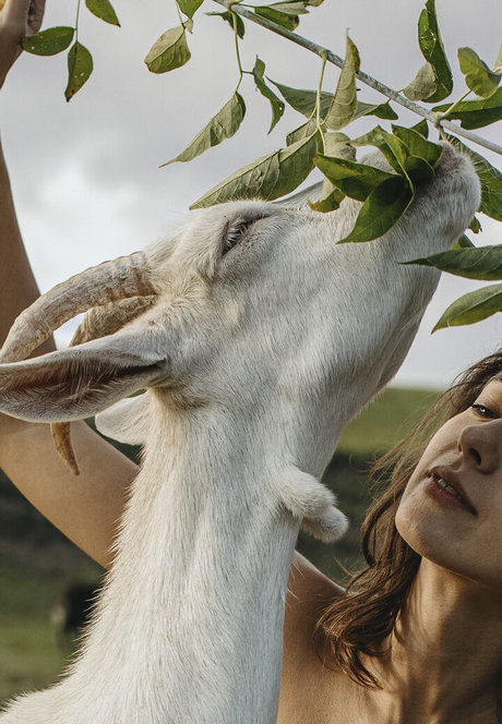 Julia Slip nice pornstar galleries