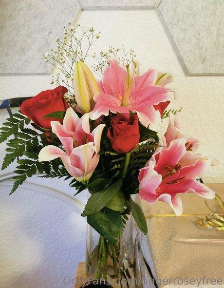 tiggerroseyfree hd actress pic