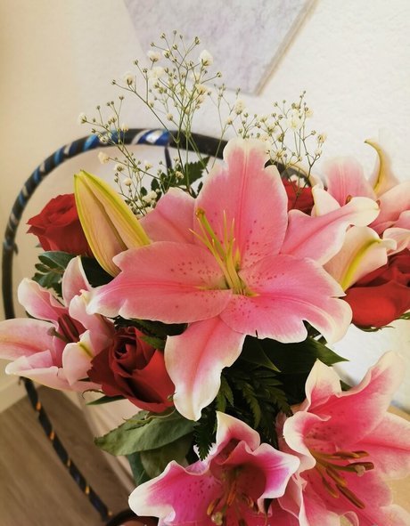 tiggerroseyfree pretty star photo