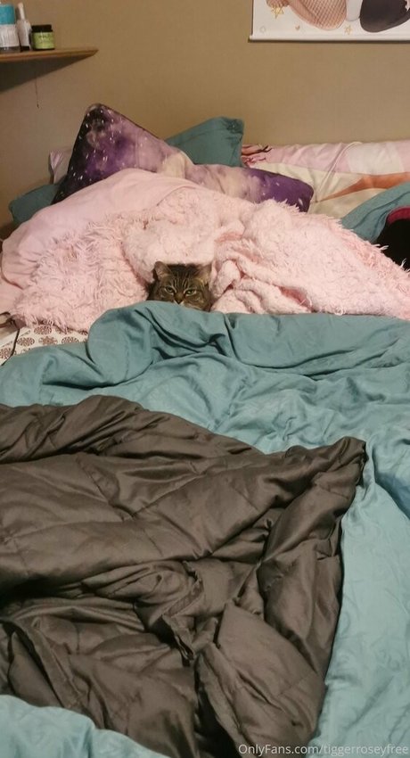 tiggerroseyfree exclusive pornstar photo