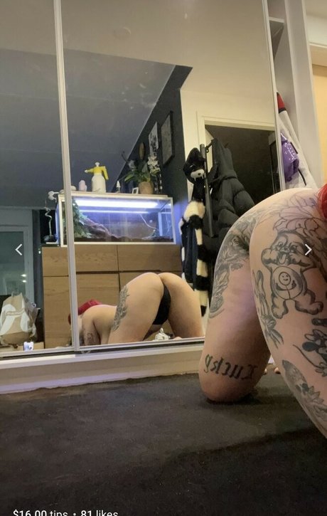 Eki102 star art images