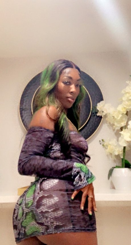 Chocolate Princess model top gallery